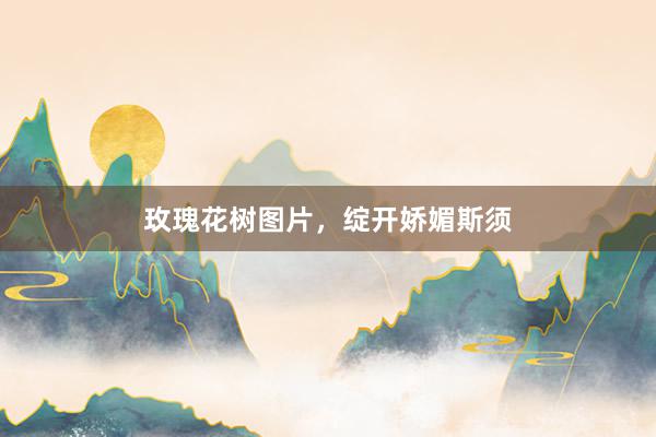 玫瑰花树图片，绽开娇媚斯须